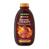 Garnier Botanic Therapy Ginger Recovery Shampoo für Frauen 250 ml