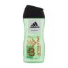 Adidas 3in1 Active Start Duschgel für Herren 250 ml