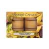 Yankee Candle Tropical Starfruit Duftkerze 117,6 g