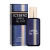 Iceberg Change The Flow Eau de Toilette für Herren 30 ml