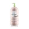 Inebrya Ice Cream Frequent Best Care Conditioner Conditioner 1000 ml