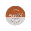 Vaseline Lip Therapy Cocoa Butter Lippenbalsam für Frauen 20 g