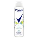 Rexona MotionSense Stay Fresh Blue Poppy & Apple Antiperspirant für Frauen 150 ml
