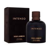 Dolce&Gabbana Pour Homme Intenso Eau de Parfum für Herren 125 ml