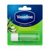 Vaseline Aloe Vera Lip Care Lippenbalsam für Frauen 4,8 g