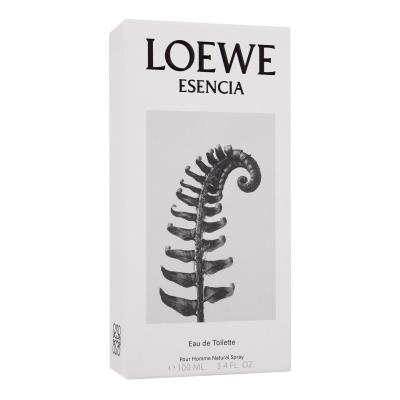 Loewe Esencia Eau de Toilette für Herren 100 ml