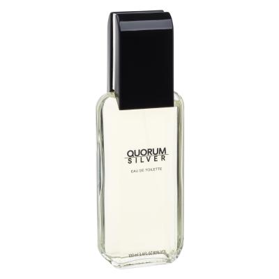 Antonio Puig Quorum Silver Eau de Toilette für Herren 100 ml