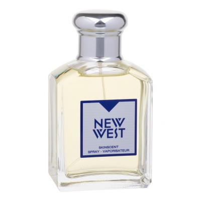 Aramis New West Eau de Toilette für Herren 100 ml