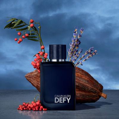 Calvin Klein Defy Parfum für Herren 100 ml