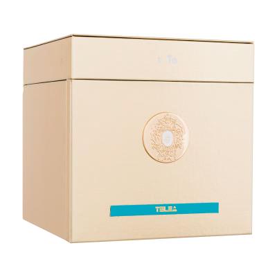 Tiziana Terenzi Telea Extrait de Parfum 100 ml