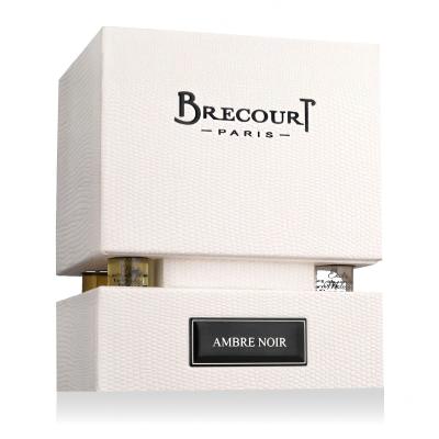 Brecourt Ambre Noir Eau de Parfum für Frauen 100 ml