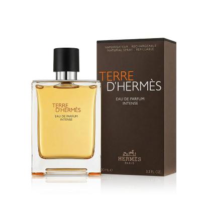 Hermes Terre d´Hermès Intense Eau de Parfum für Herren Nachfüllbar 100 ml