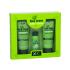 Xpel Tea Tree Geschenkset Shampoo 100 ml + Conditioner 100 ml + Haarserum 30 ml