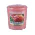 Yankee Candle Sun-Drenched Apricot Rose Duftkerze 49 g