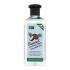 Xpel Coconut Hydrating Shampoo Shampoo für Frauen 400 ml
