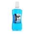 Zidac Laboratories Absolute Ice Coolmint Mouthwash Mundwasser 500 ml