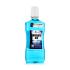 Zidac Laboratories Absolute Ice Whitening Mouthwash Mundwasser 500 ml