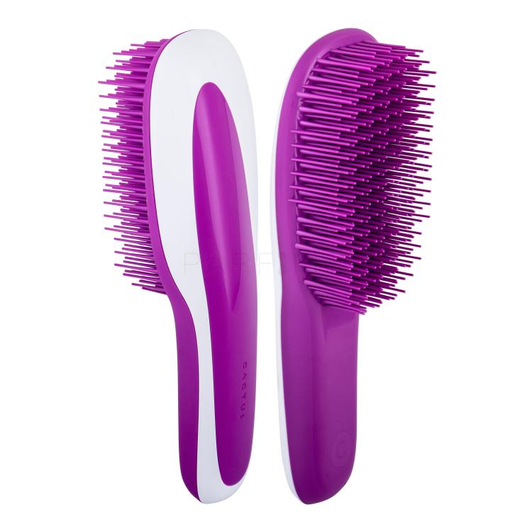 CACTUS Bleo Haarbürste für Frauen 1 St. Farbton  Royal Purple