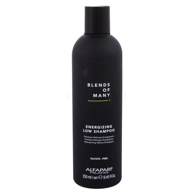 ALFAPARF MILANO Blends Of Many Energizing Shampoo für Herren 250 ml