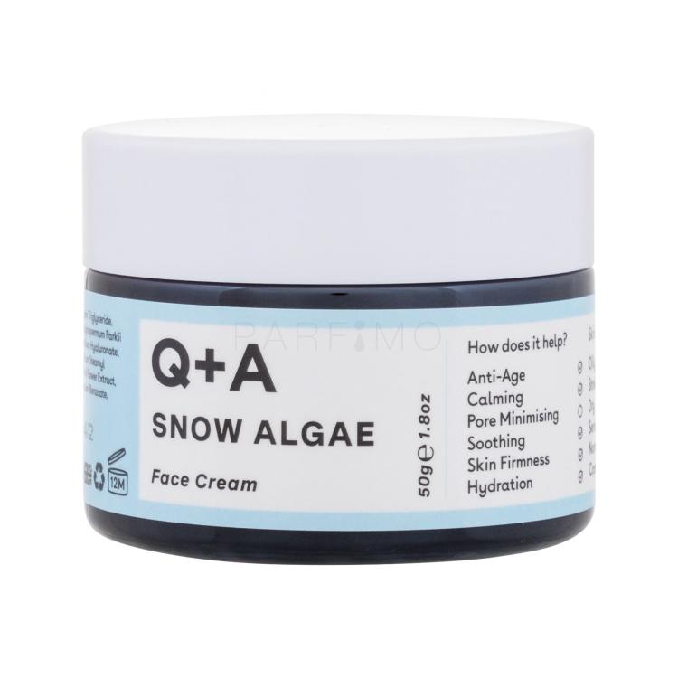 Q+A Snow Algae Intensive Face Cream Tagescreme für Frauen 50 g