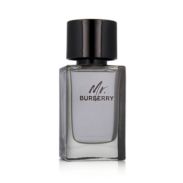 Burberry Mr. Burberry Eau de Toilette für Herren 100 ml